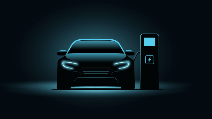 EV payment platforms