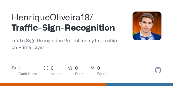 Traffic sign recognition system