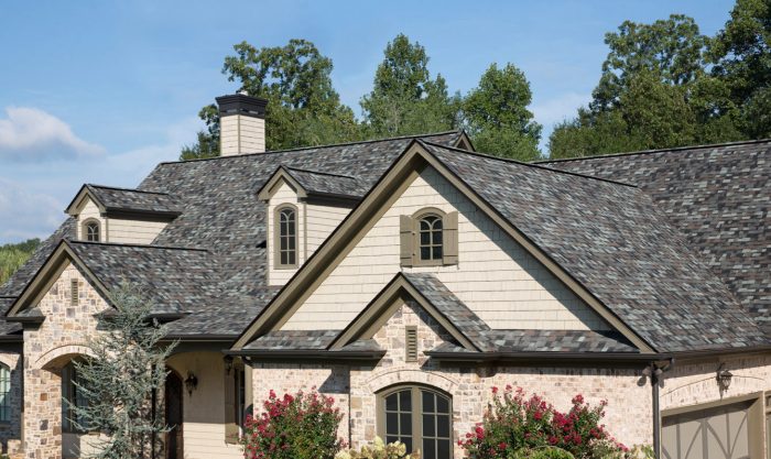 Roof basket