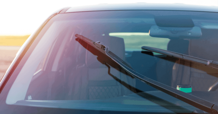Windshield sunshade