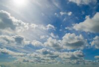 Cloud-synced driver profiles
