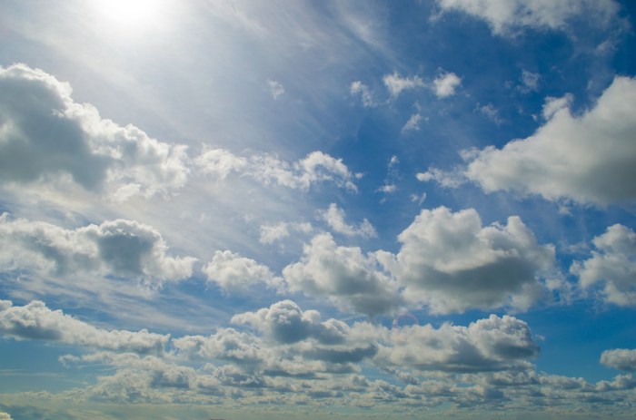Cloud-synced driver profiles