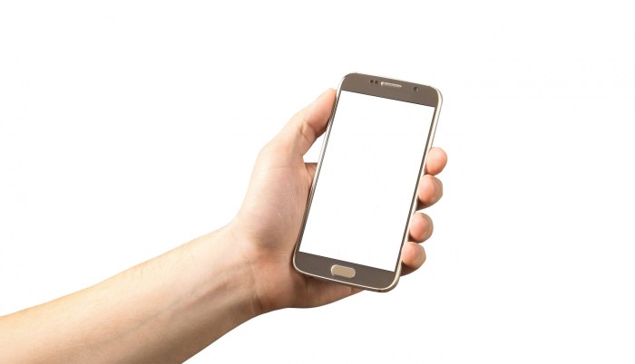 Cell Phone In Hand Free Stock Photo - Public Domain Pictures