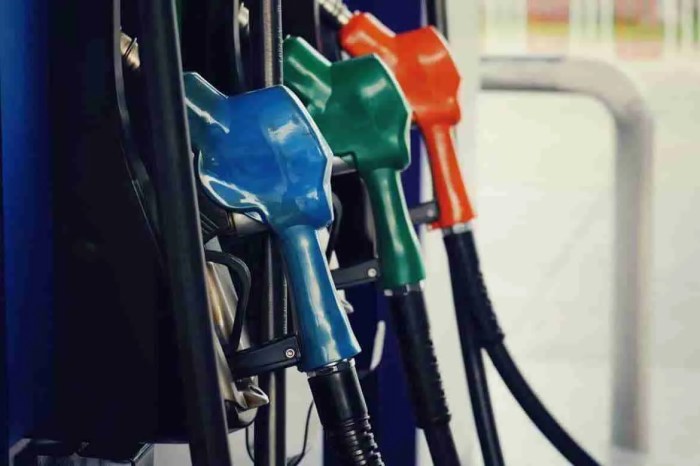 Graphical representation of fuel consumption It is observed in Section ... Fuel consumption