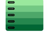 Green driver training programs