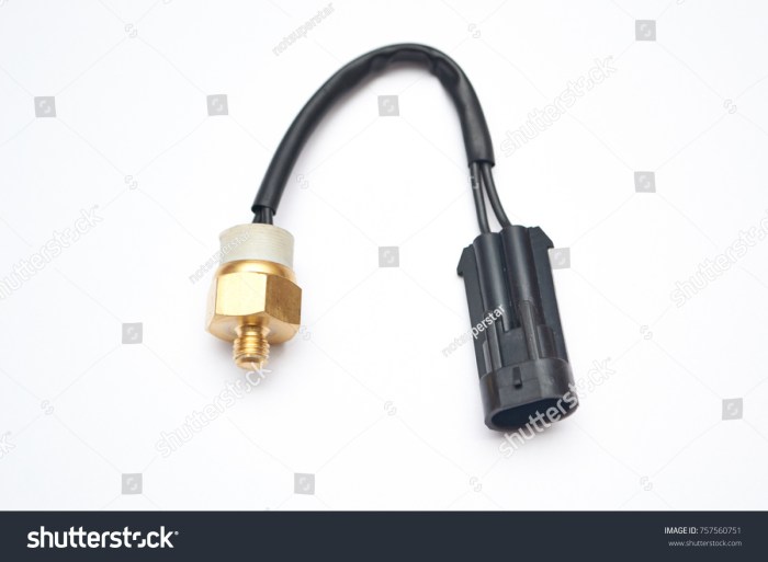 Car temperature gauge