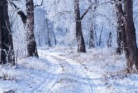Winter tire chains