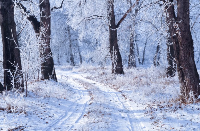 Winter Landscape Free Stock Photo - Public Domain Pictures Winter tire chains